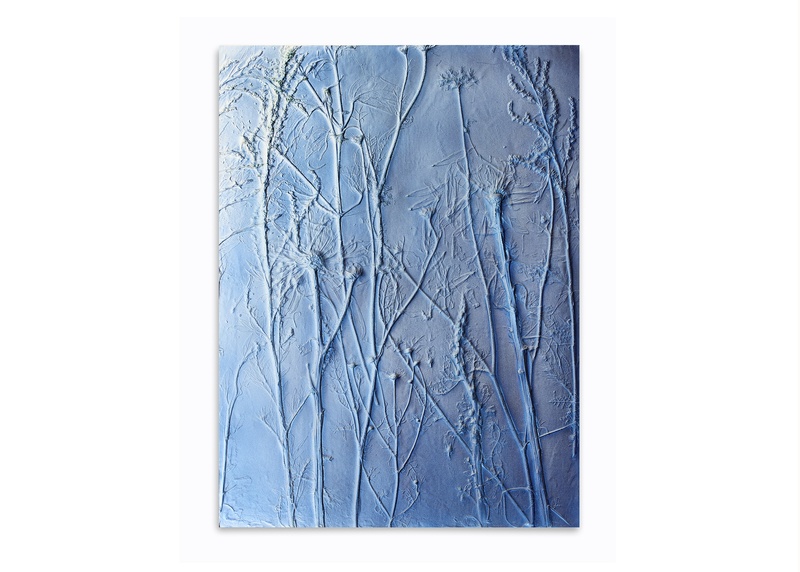  Jaclyn Mednicov artwork 