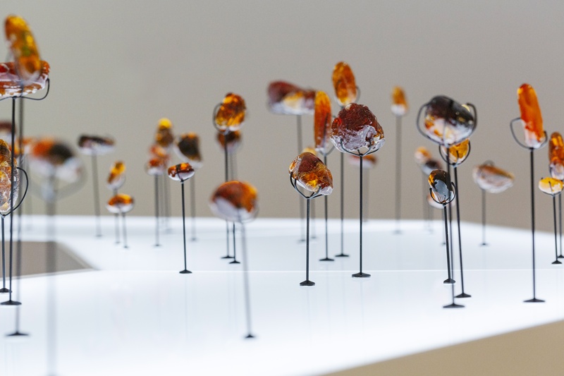  A variety of amber colored stones standing on thin black armatures, displayed on a white surface. 