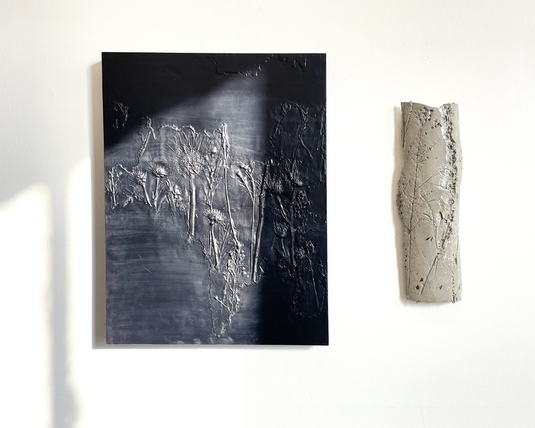  Jaclyn Mednicov artwork 