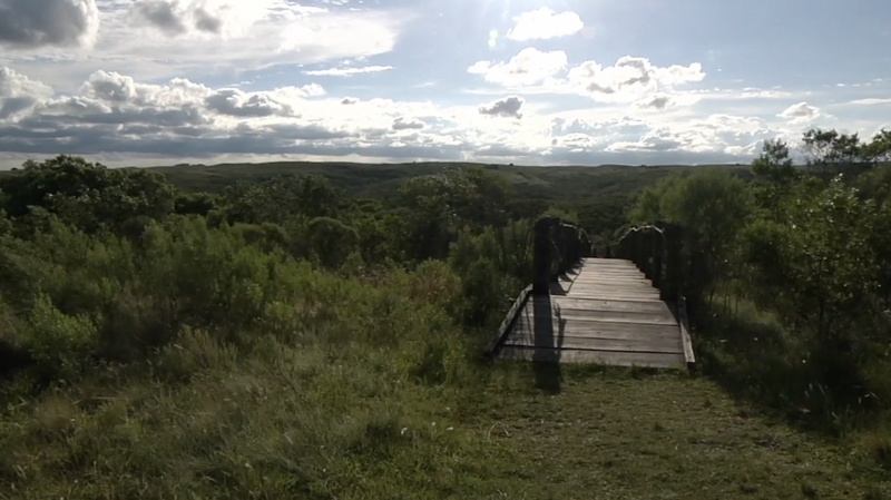  Gonzalo Escobar Mora artwork 