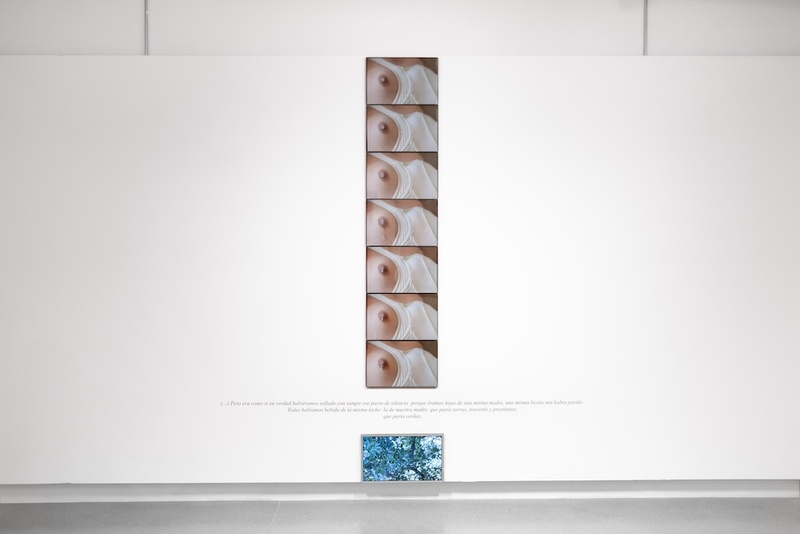  Seven images of a nipple are mounted on the white wall of a gallery. 