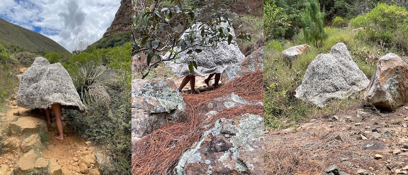  Two performers walking through nature wearing fabric that camouflages them as a rock. 