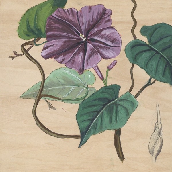  A. Martinez artwork 