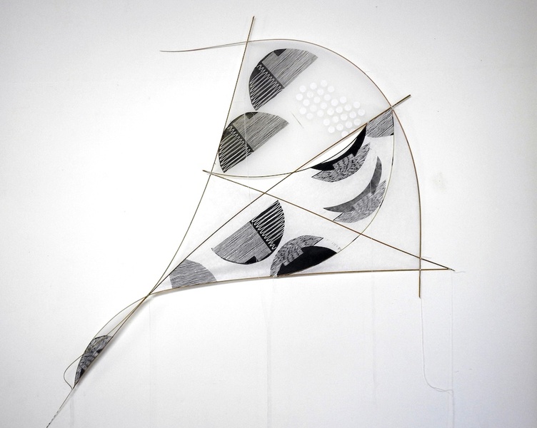  A black and white abstract kite. 