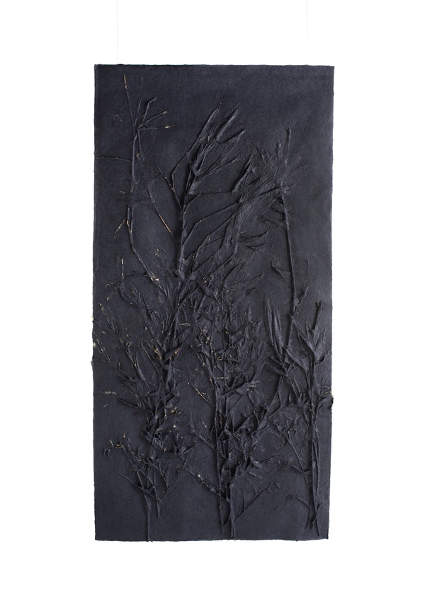  Jaclyn Mednicov artwork 