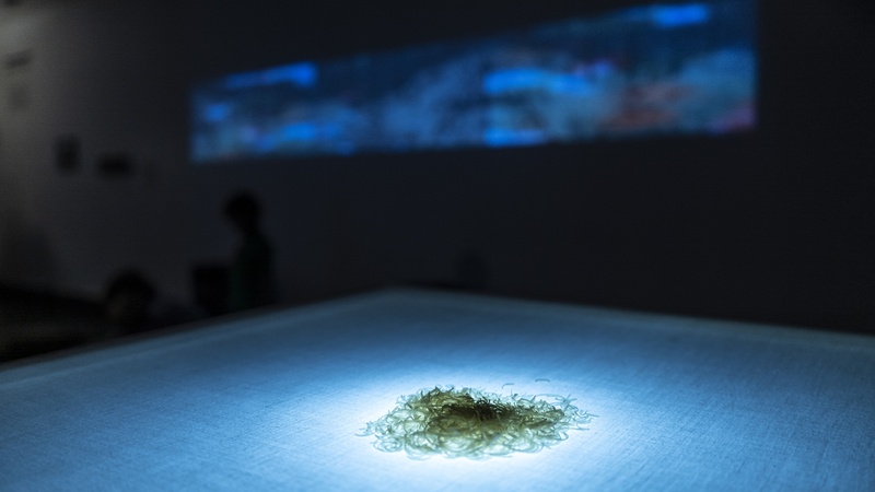  Gonzalo Escobar Mora artwork 