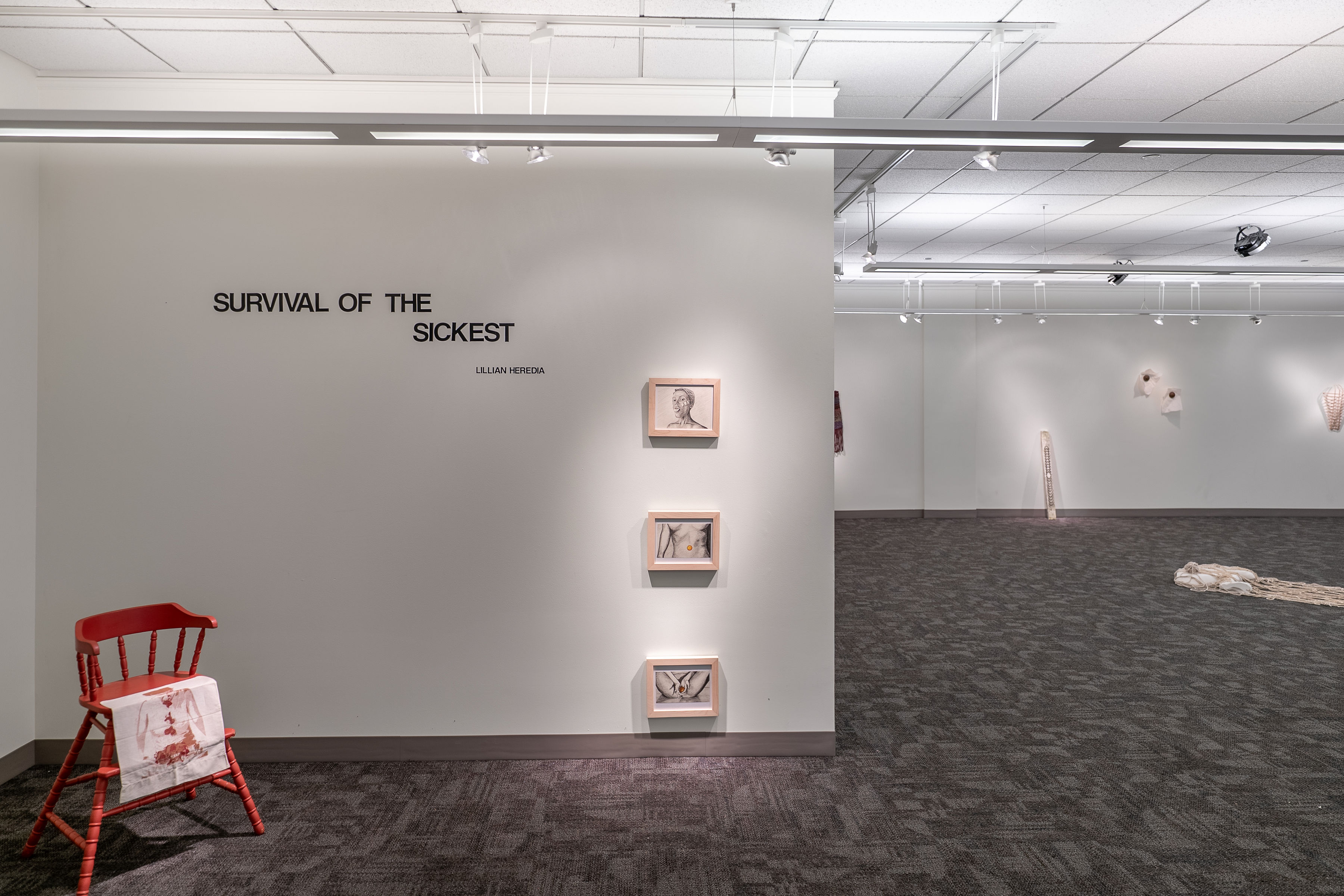 A white wall has text on it and three drawings hung in a stack. The text reads SURVIVAL OF THE SICKEST and in small letters LILLIAN HEREDIA. On one side of the wall is a red wooden high chair with a screen print dangling off of it. The other side of the wall reveals a gallery space full of sculptural work hanging on white walls or sitting on the gray, carpeted floor.